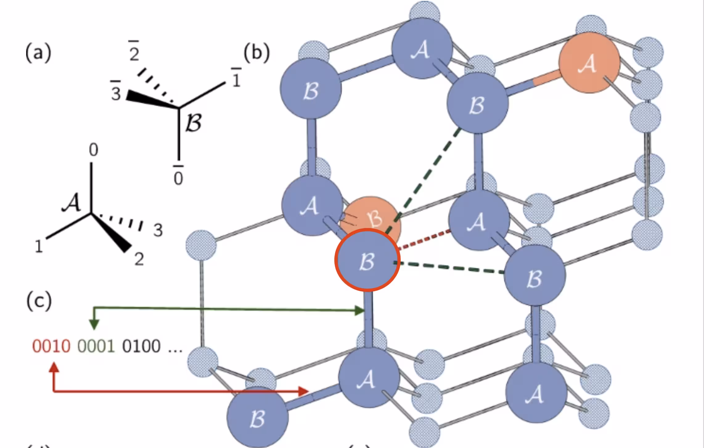 Amino acid chain on a tetrahedral lattice